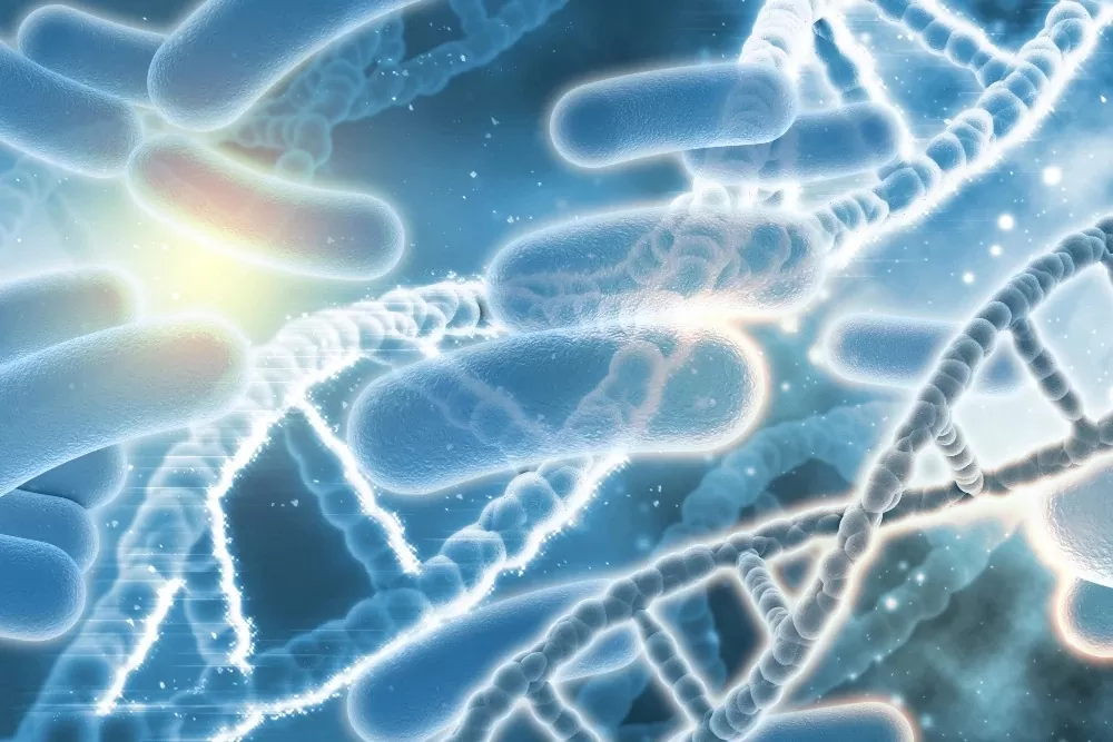 Legionella: nemoc, kterou můžete "chytit" i doma Dna a bakterie legionelly