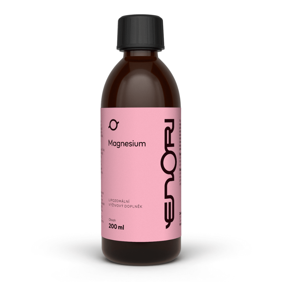 Potravinová pyramida: Jak správně sestavit svůj jídelníček? Lipozomalni Magnesium Enori